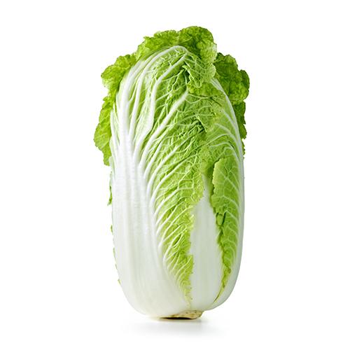 Lechuga-Romana2